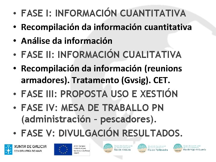 FASE I: INFORMACIÓN CUANTITATIVA Recompilación da información cuantitativa Análise da información FASE II: INFORMACIÓN