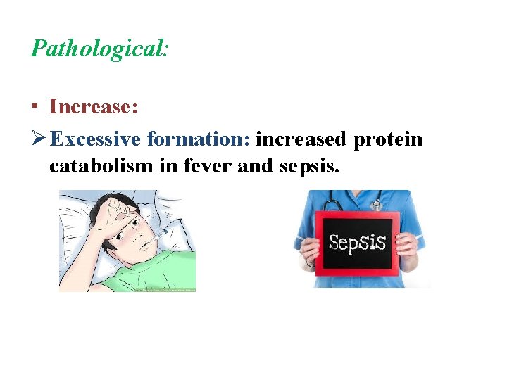 Pathological: • Increase: Ø Excessive formation: increased protein catabolism in fever and sepsis. 