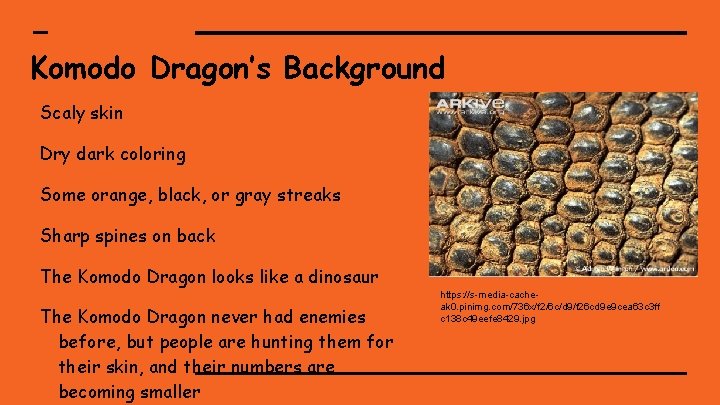 Komodo Dragon’s Background Scaly skin Dry dark coloring Some orange, black, or gray streaks