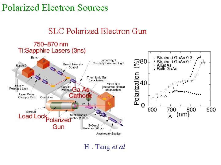 Polarized Electron Sources SLC Polarized Electron Gun H. Tang et al 