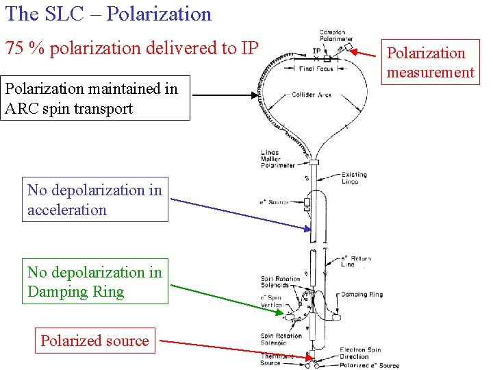 The SLC – Polarization 75 % polarization delivered to IP Polarization maintained in ARC