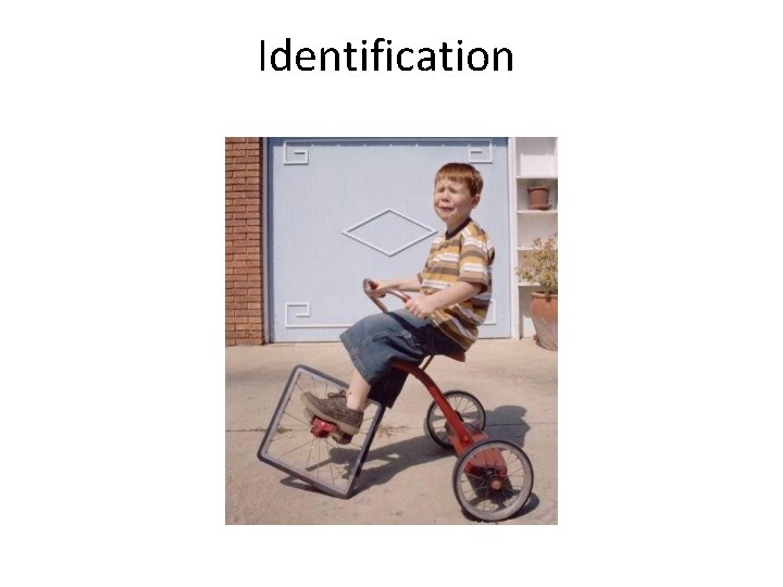 Identification 