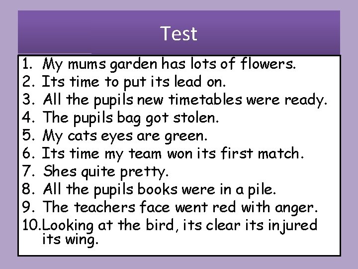 Test 1. My mums garden has lots of flowers. 2. Its time to put