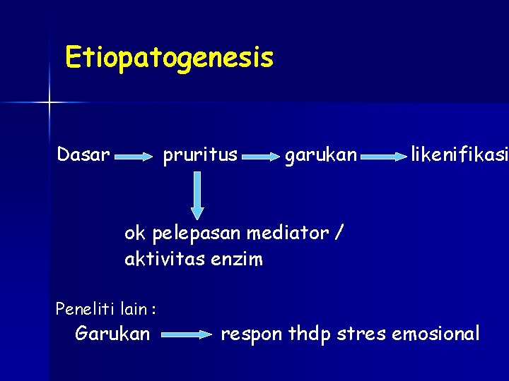 Etiopatogenesis Dasar pruritus garukan likenifikasi ok pelepasan mediator / aktivitas enzim Peneliti lain :