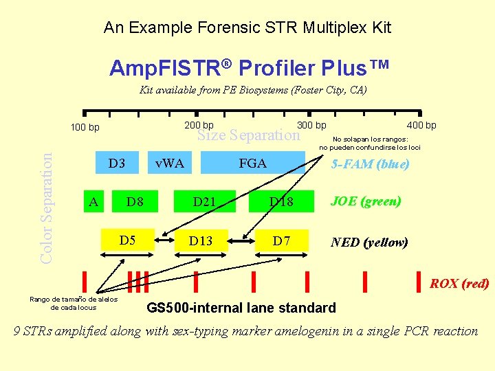 An Example Forensic STR Multiplex Kit Amp. Fl. STR® Profiler Plus™ Kit available from