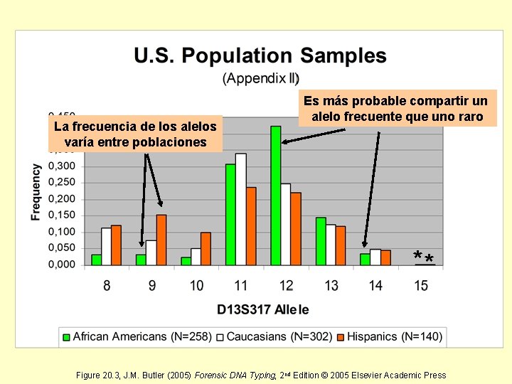 La frecuencia de los alelos varía entre poblaciones Es más probable compartir un alelo