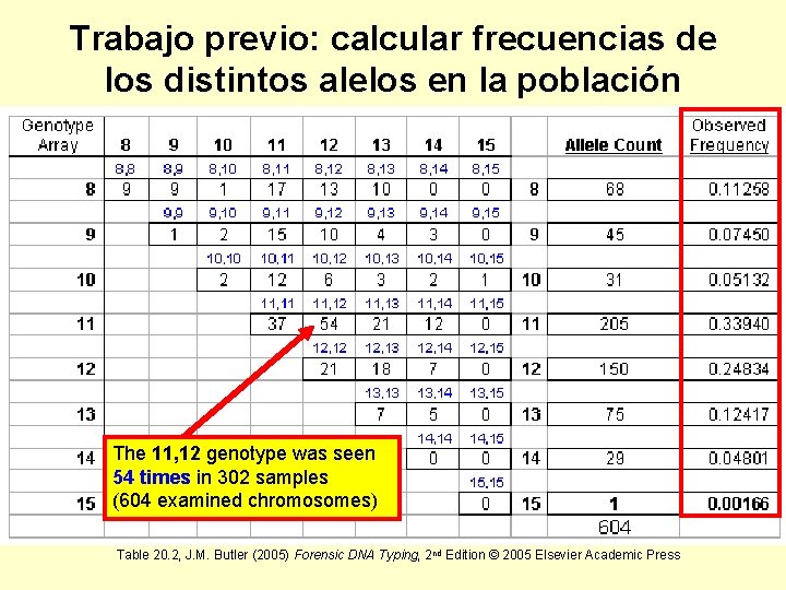 Trabajo previo: calcular frecuencias de los distintos alelos en la población The 11, 12