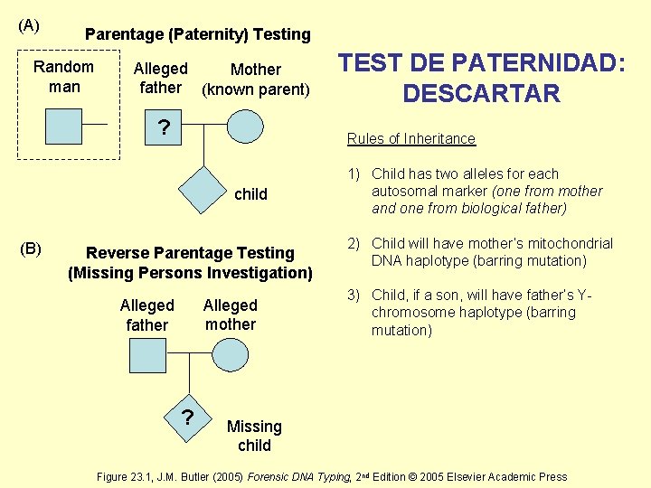 (A) Parentage (Paternity) Testing Random man Alleged Mother father (known parent) ? Rules of