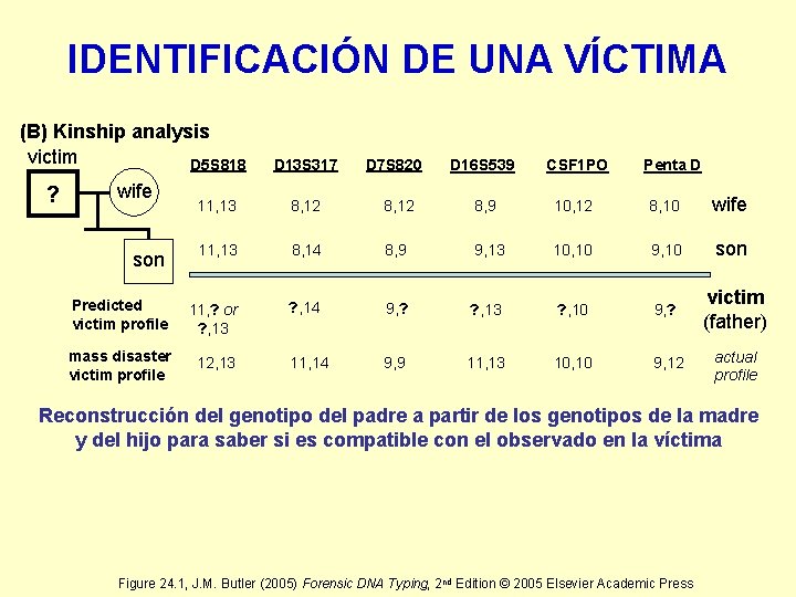 IDENTIFICACIÓN DE UNA VÍCTIMA (B) Kinship analysis victim D 5 S 818 ? wife