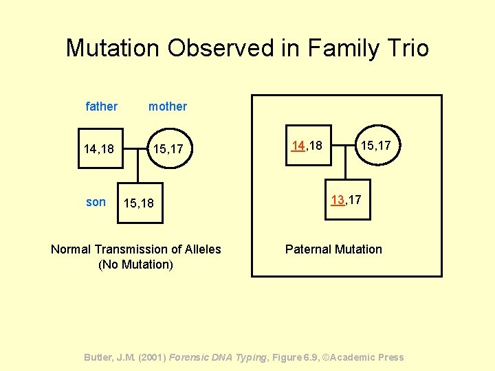Mutation Observed in Family Trio father mother 14, 18 15, 17 son 15, 18