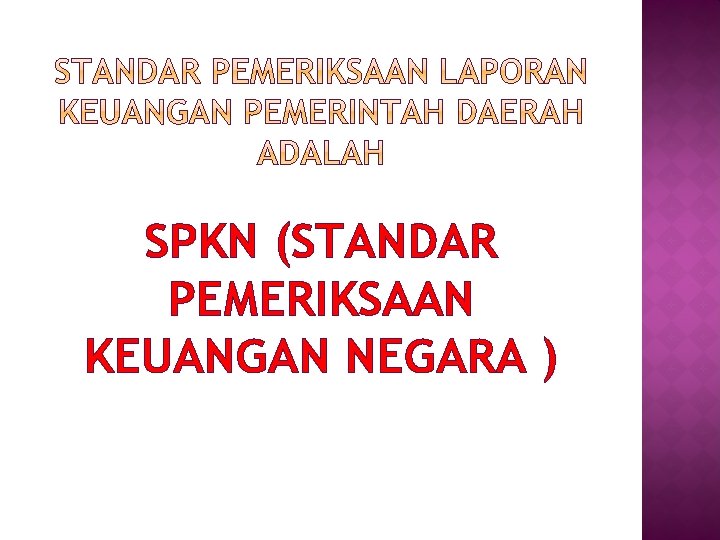 SPKN (STANDAR PEMERIKSAAN KEUANGAN NEGARA ) 