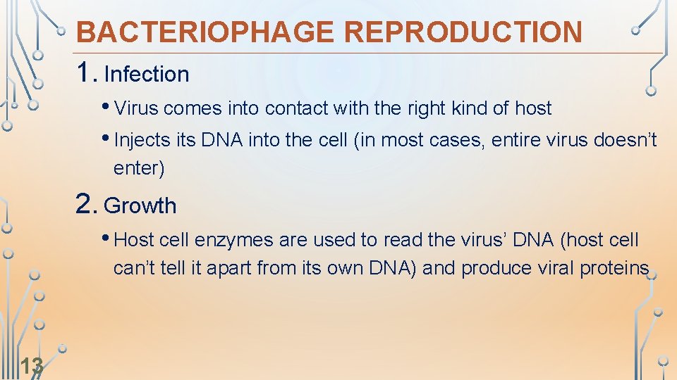 BACTERIOPHAGE REPRODUCTION 1. Infection • Virus comes into contact with the right kind of