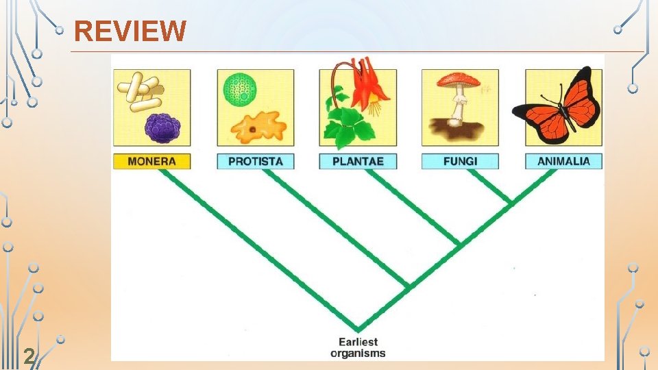 REVIEW 2 
