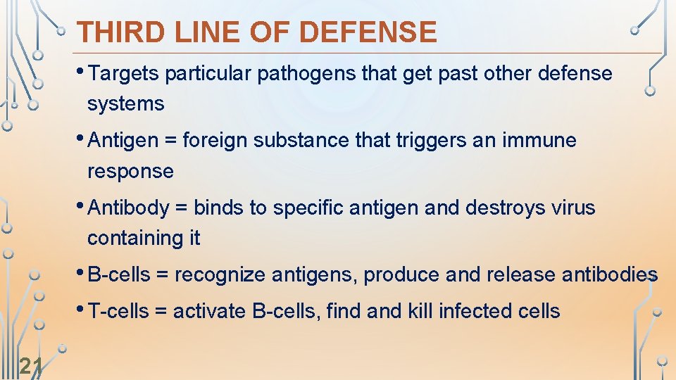 THIRD LINE OF DEFENSE • Targets particular pathogens that get past other defense systems