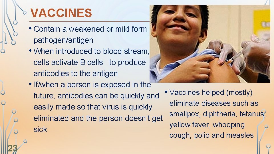 VACCINES • Contain a weakened or mild form of pathogen/antigen • When introduced to