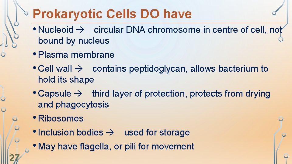 Prokaryotic Cells DO have • Nucleoid circular DNA chromosome in centre of cell, not