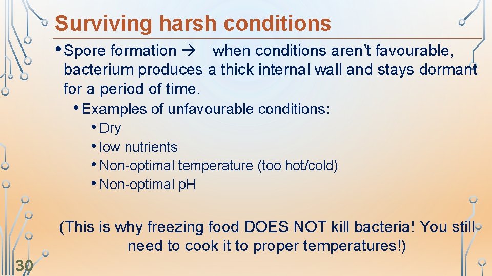 Surviving harsh conditions • Spore formation when conditions aren’t favourable, bacterium produces a thick