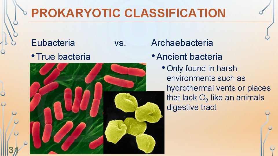 PROKARYOTIC CLASSIFICATION Eubacteria • True bacteria vs. Archaebacteria • Ancient bacteria • Only found