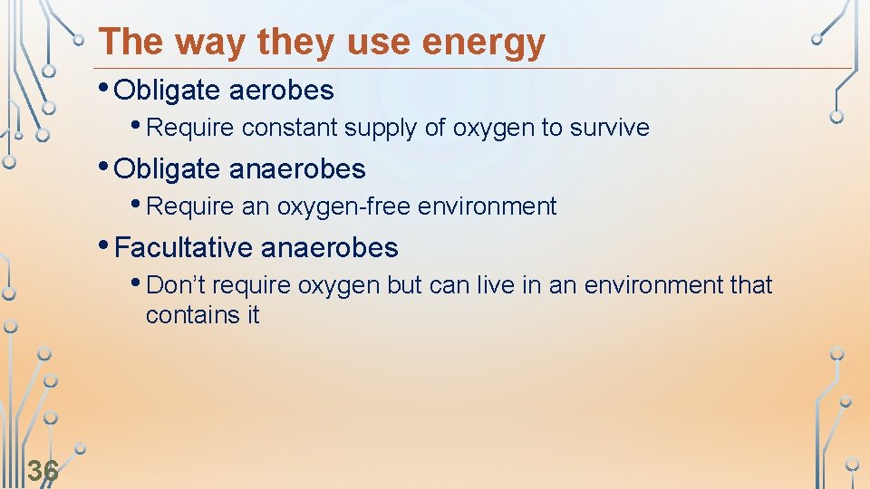 The way they use energy • Obligate aerobes • Require constant supply of oxygen