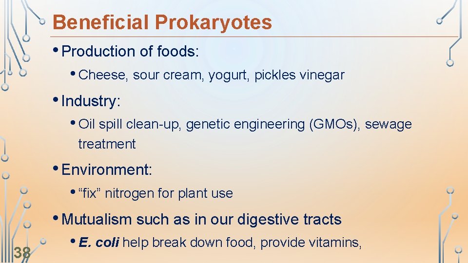 Beneficial Prokaryotes • Production of foods: • Cheese, sour cream, yogurt, pickles vinegar •