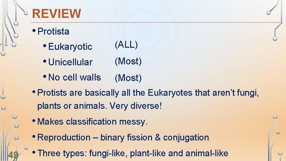 REVIEW • Protista • Eukaryotic • Unicellular • No cell walls (ALL) (Most) •