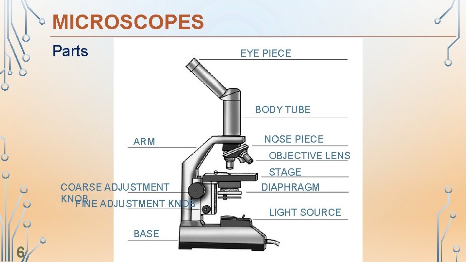 MICROSCOPES Parts EYE PIECE BODY TUBE ARM NOSE PIECE OBJECTIVE LENS STAGE COARSE ADJUSTMENT