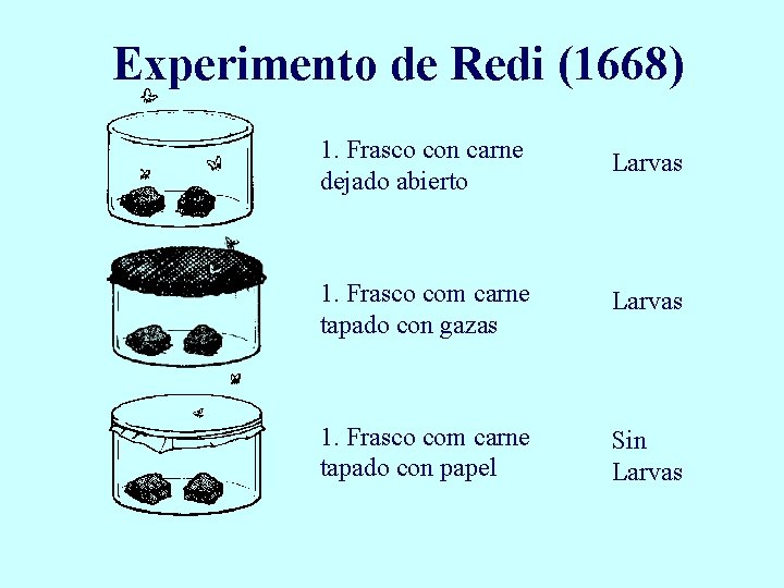 Experimento de Redi (1668) 1. Frasco con carne dejado abierto Larvas 1. Frasco com