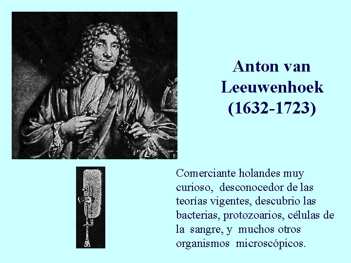 Anton van Leeuwenhoek (1632 -1723) Comerciante holandes muy curioso, desconocedor de las teorías vigentes,