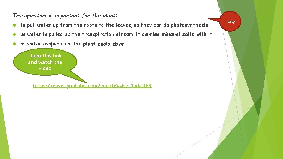Transpiration is important for the plant: to pull water up from the roots to