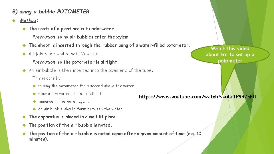 B) using a bubble POTOMETER Method: The roots of a plant are cut underwater.