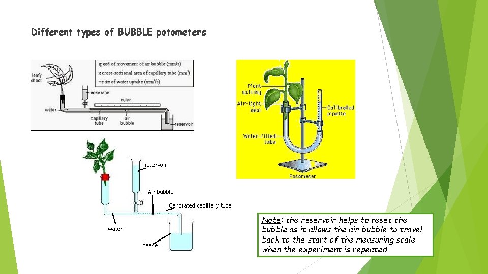 Different types of BUBBLE potometers reservoir Air bubble Calibrated capillary tube water beaker Note: