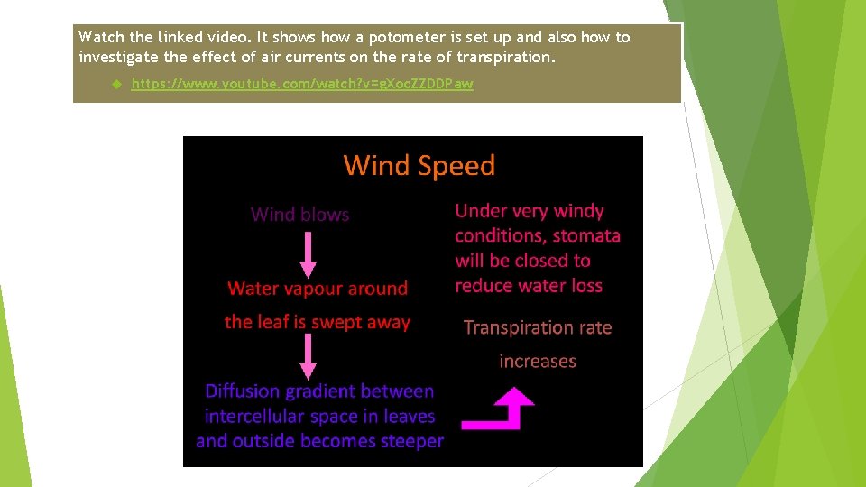 Watch the linked video. It shows how a potometer is set up and also