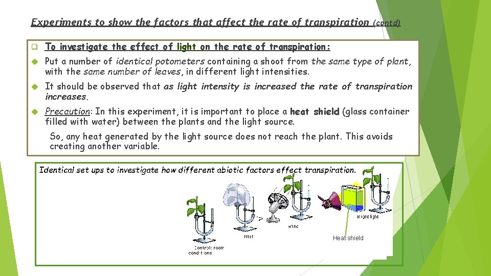 Experiments to show the factors that affect the rate of transpiration (contd) q To