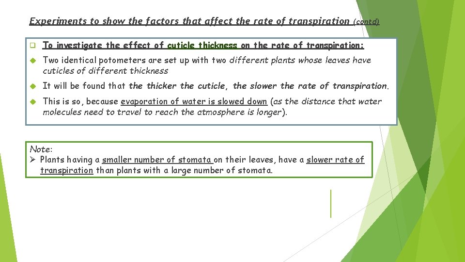Experiments to show the factors that affect the rate of transpiration (contd) q To