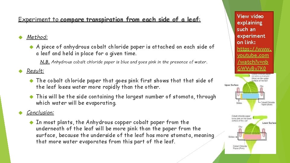 Experiment to compare transpiration from each side of a leaf: Method: A piece of