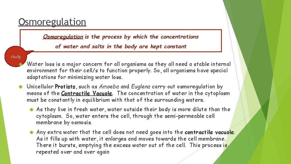 Osmoregulation is the process by which the concentrations of water and salts in the
