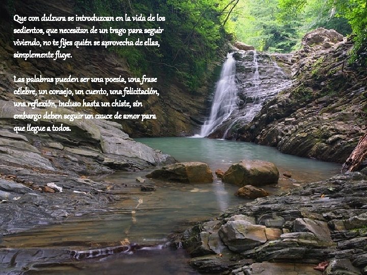 Que con dulzura se introduzcan en la vida de los sedientos, que necesitan de