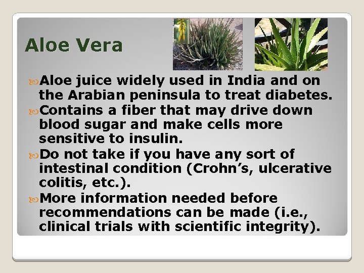 Aloe Vera Aloe juice widely used in India and on the Arabian peninsula to