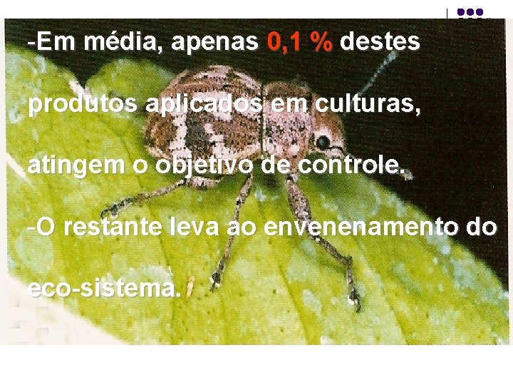 -Em média, apenas 0, 1 % destes produtos aplicados em culturas, atingem o objetivo