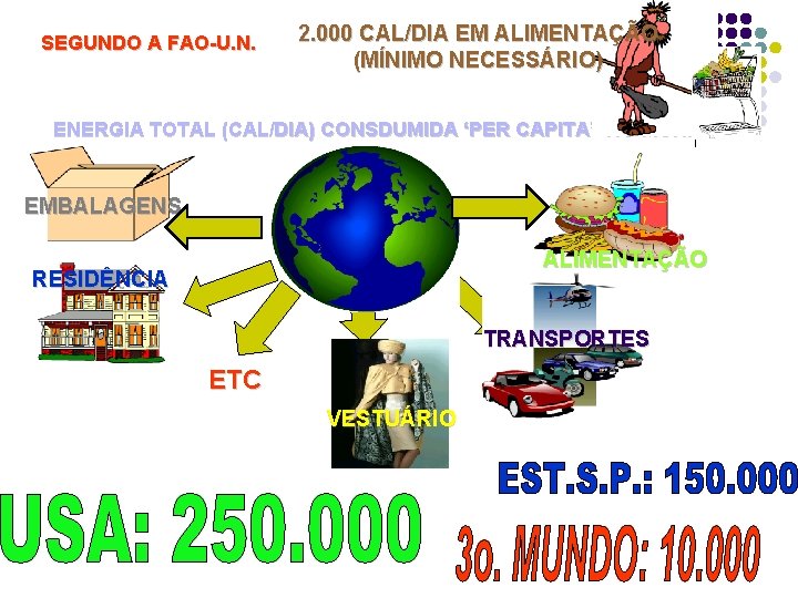 SEGUNDO A FAO-U. N. 2. 000 CAL/DIA EM ALIMENTAÇÃO (MÍNIMO NECESSÁRIO) ENERGIA TOTAL (CAL/DIA)