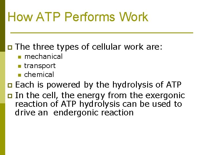 How ATP Performs Work p The three types of cellular work are: n n