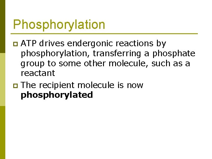 Phosphorylation ATP drives endergonic reactions by phosphorylation, transferring a phosphate group to some other