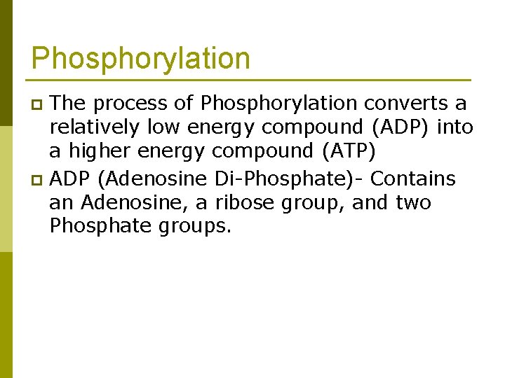 Phosphorylation The process of Phosphorylation converts a relatively low energy compound (ADP) into a