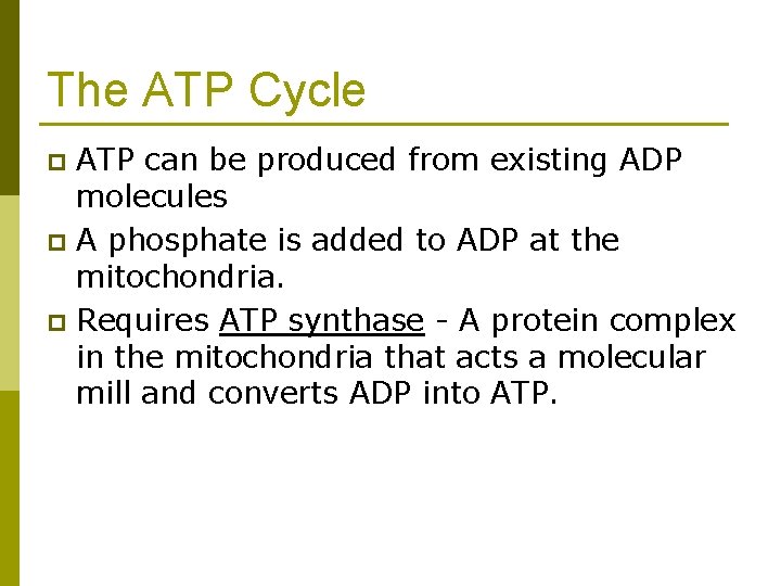The ATP Cycle ATP can be produced from existing ADP molecules p A phosphate