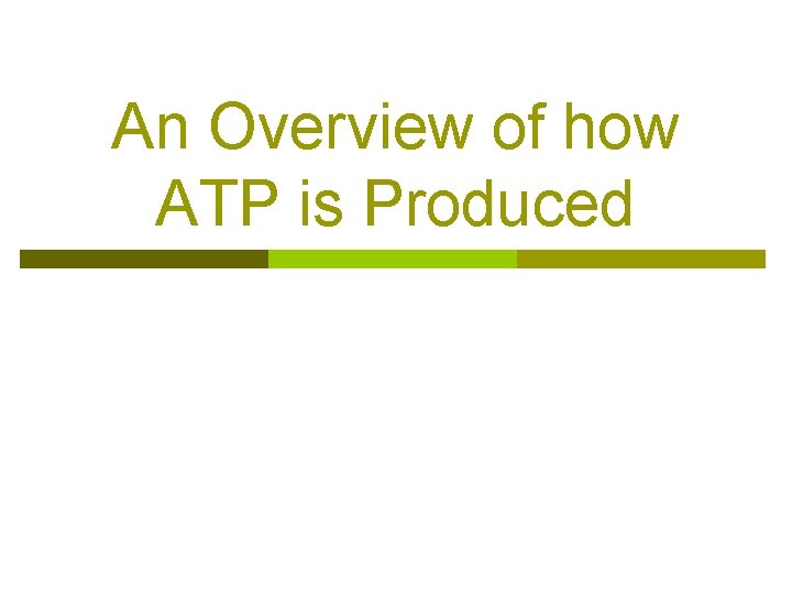 An Overview of how ATP is Produced 