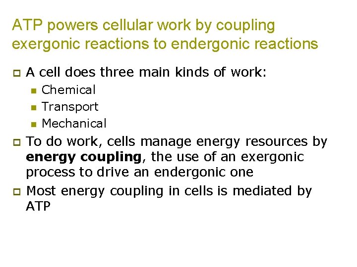 ATP powers cellular work by coupling exergonic reactions to endergonic reactions p A cell