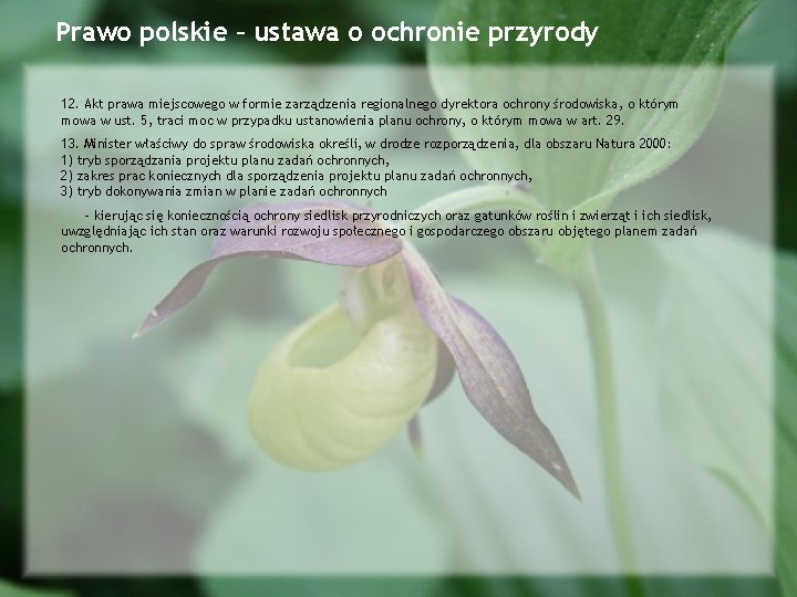 Prawo polskie – ustawa o ochronie przyrody 12. Akt prawa miejscowego w formie zarządzenia