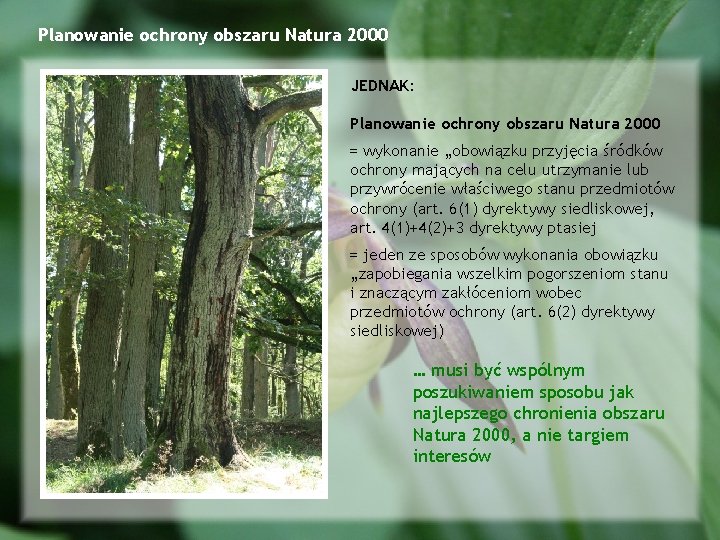 Planowanie ochrony obszaru Natura 2000 JEDNAK: Planowanie ochrony obszaru Natura 2000 = wykonanie „obowiązku