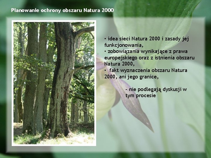 Planowanie ochrony obszaru Natura 2000 • idea sieci Natura 2000 i zasady jej funkcjonowania,