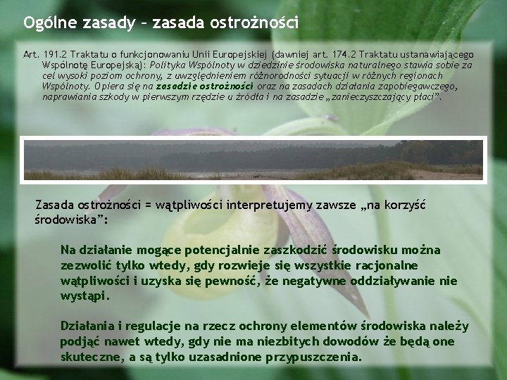 Ogólne zasady – zasada ostrożności Art. 191. 2 Traktatu o funkcjonowaniu Unii Europejskiej (dawniej